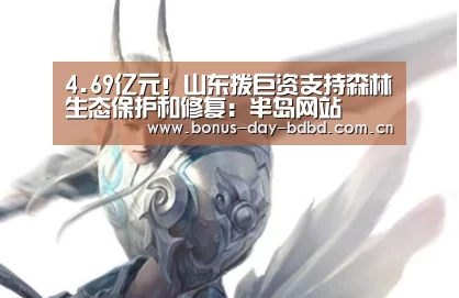 半岛网站